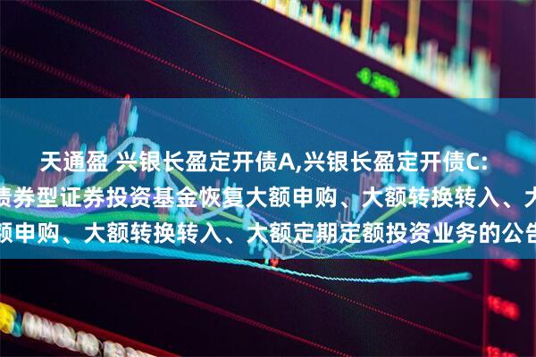 天通盈 兴银长盈定开债A,兴银长盈定开债C: 兴银长盈三个月定期开放债券型证券投资基金恢复大额申购、大额转换转入、大额定期定额投资业务的公告