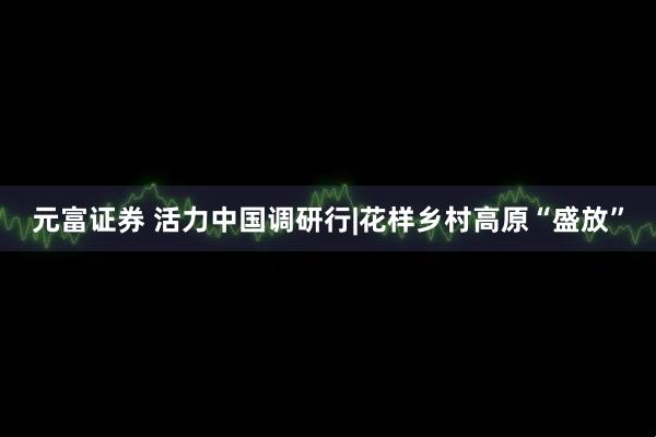 元富证券 活力中国调研行|花样乡村高原“盛放”