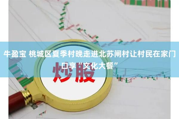 牛盈宝 桃城区夏季村晚走进北苏闸村让村民在家门口享“文化大餐”