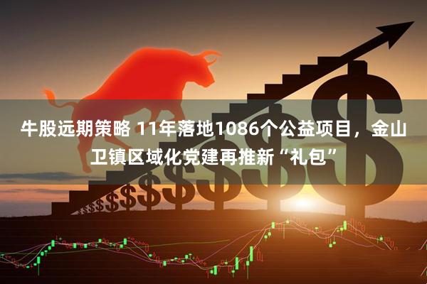 牛股远期策略 11年落地1086个公益项目，金山卫镇区域化党建再推新“礼包”